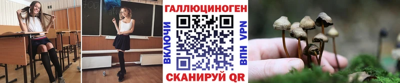 Купить  Арамиль  Галлюциногенные грибы прущие грибы 